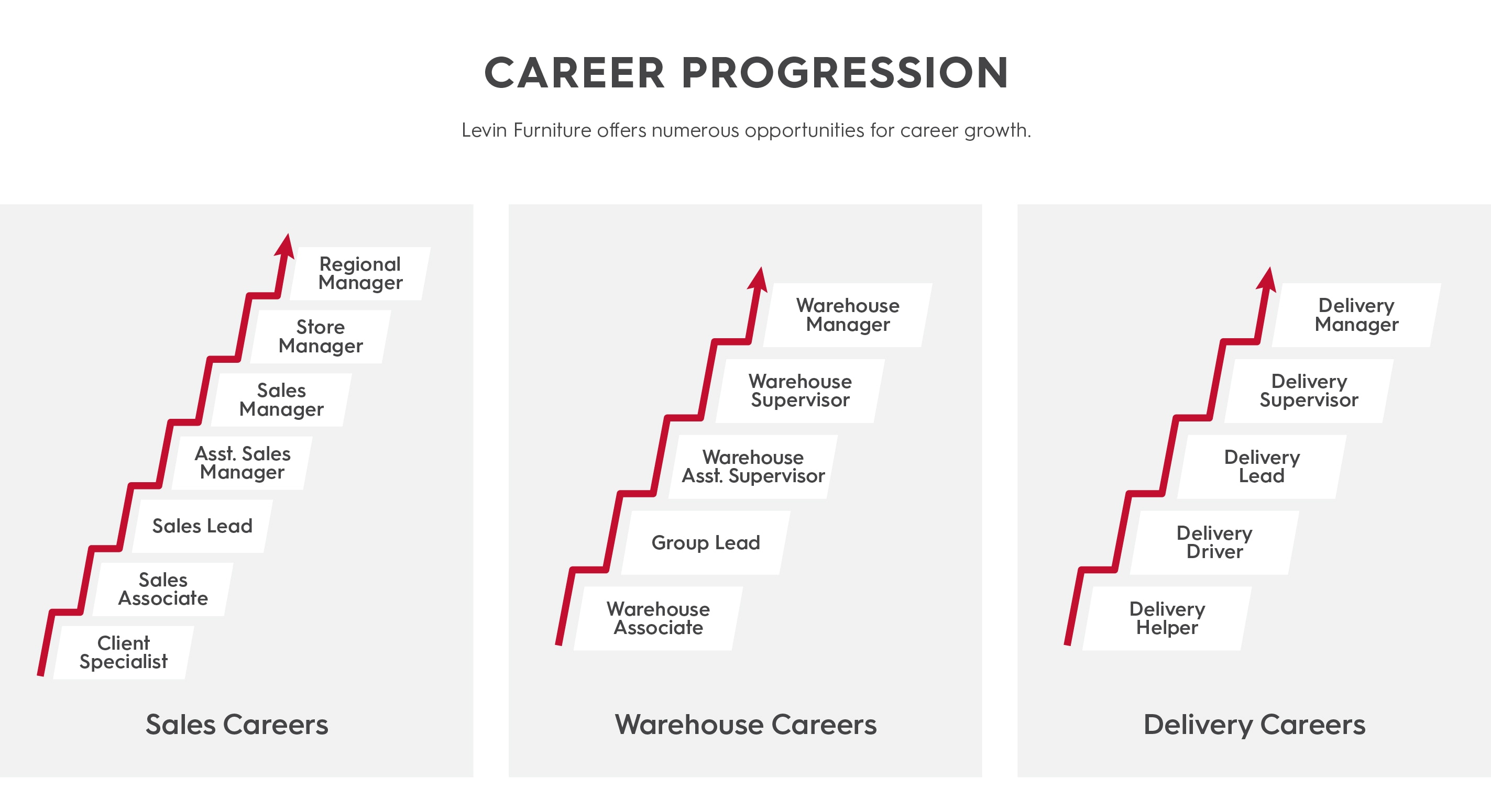 career progression graphic.