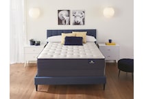 bd twin xl mattress   