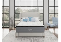 bd twin xl mattress   