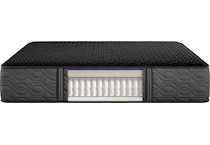 beautyrest black series  bd twin xl mattress   