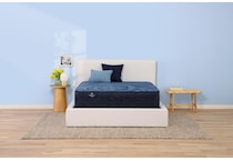 blue moon medium bd twin mattress   