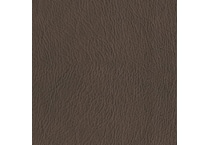 brown swatch  