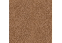 brown swatch  