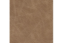 brown swatch  