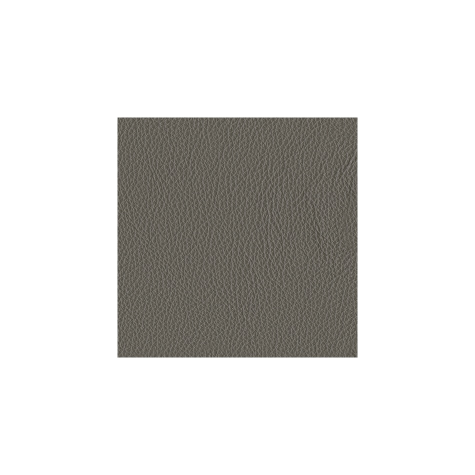 gray swatch  