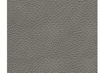 gray swatch  