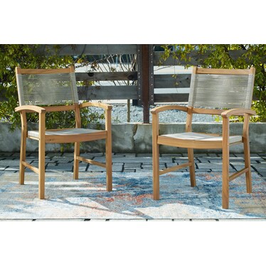 Janiyah Outdoor Dining Arm Chair (Set of 2)