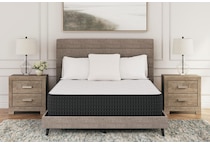 limited edition plush bd queen mattress m  