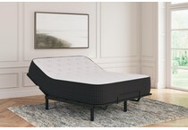 limited edition plush bd queen mattress m  