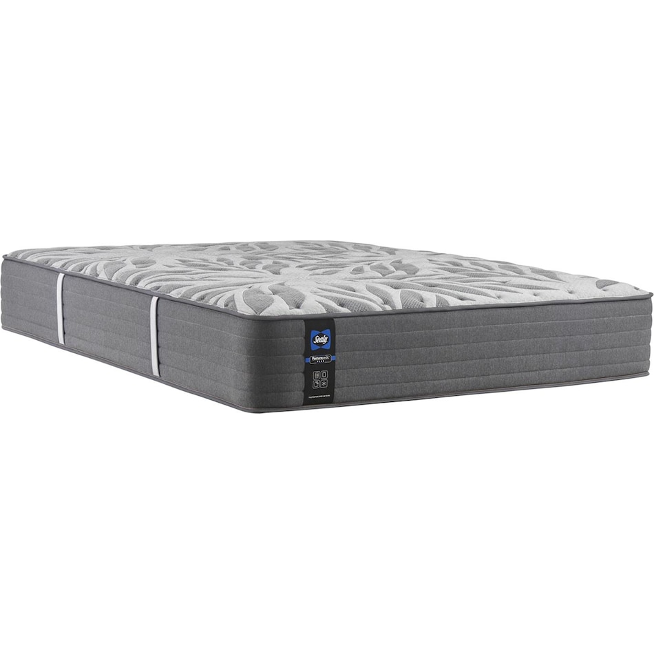 master suite plush bd full mattress   