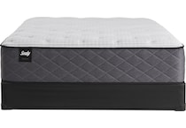 premier hotel firm bd queen mattress   