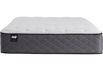 premier hotel firm bd queen mattress   