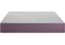 purple restore plus firm bd queen mattress   