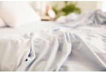 purple sheets white white bd bed sheets t sswht  