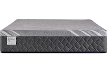 sealy oasis medium hybrid bd twin xl mattress   