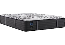 sealy sanctuary firm bd twin xl mattress   