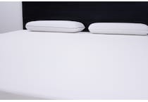 white pm twin mattress protector t solis  