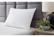 zephyr  white bd bed pillows m  